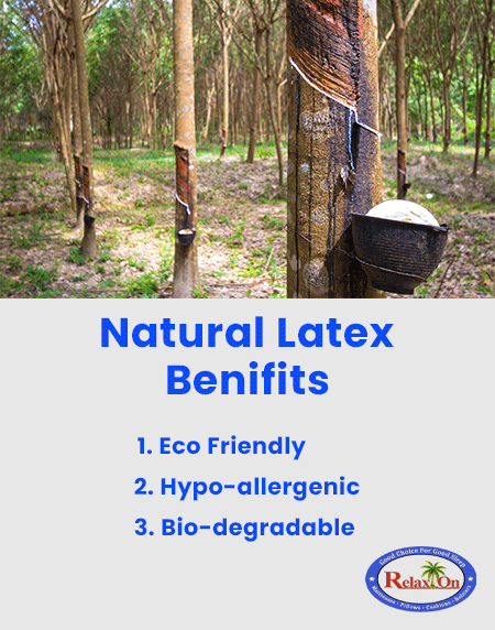 Natural latex pillows providing neck pain relief and cervical spine support Hyderabad